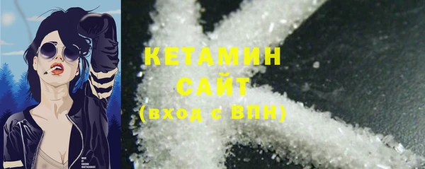 соль ск Ельня