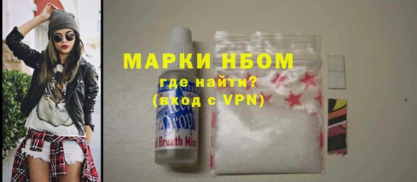 соль ск Ельня
