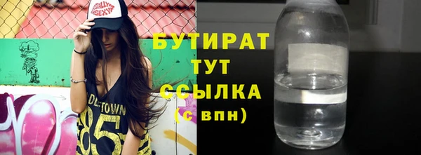 соль ск Ельня
