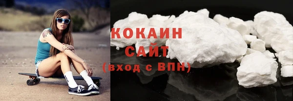 соль ск Ельня