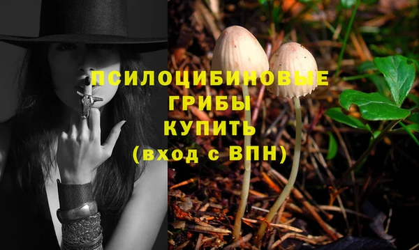 дмт Дмитриев