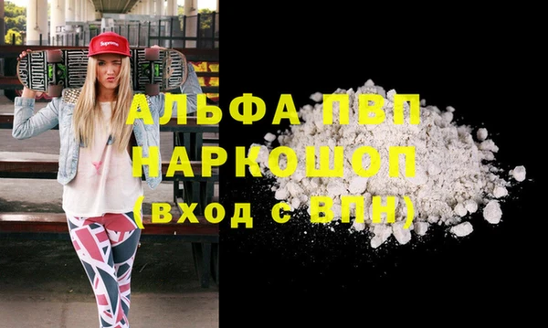 соль ск Ельня