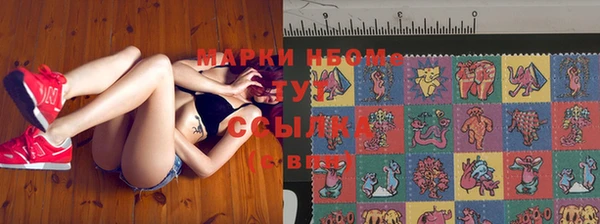 соль ск Ельня