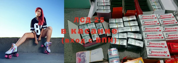 соль ск Ельня