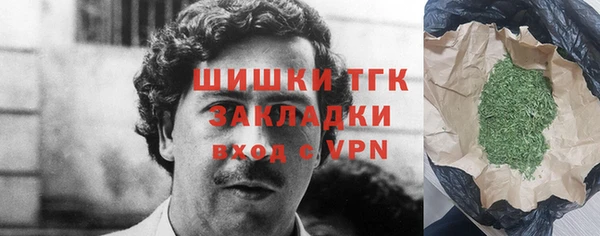 соль ск Ельня